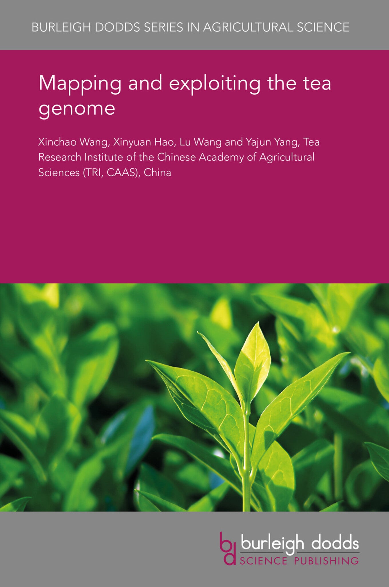 Cover image for Mapping and exploiting the tea genome ISBN 9781838796099